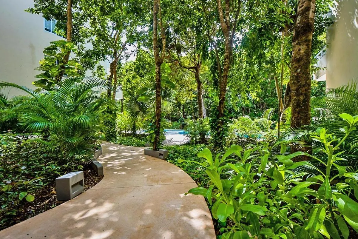 Apartment With A Private Beach Playa del Carmen Mexico