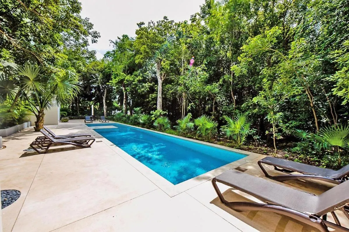 Apartment With A Private Beach Playa del Carmen